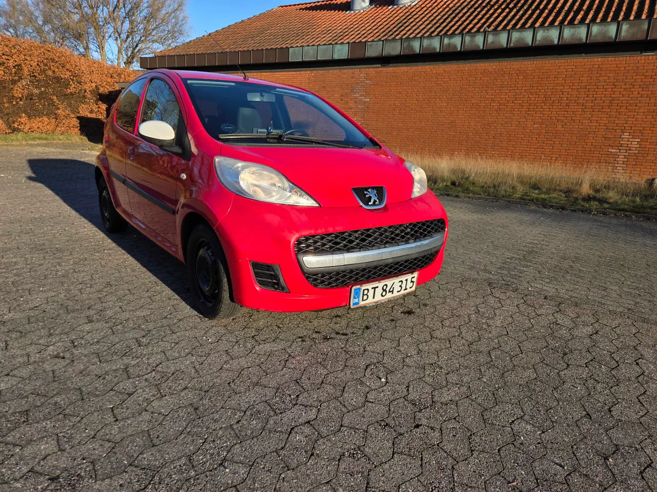 Billede 13 - ØKOGRIS MED PLADER OG NYSYNET 