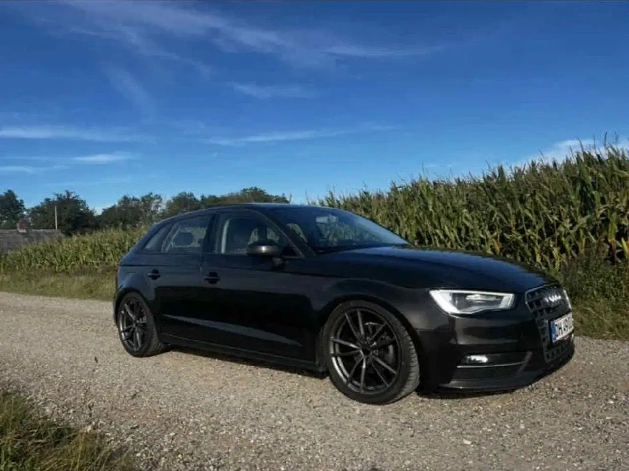 Billede 4 - Audi A3 1,6 TDi Ambiente Sportback