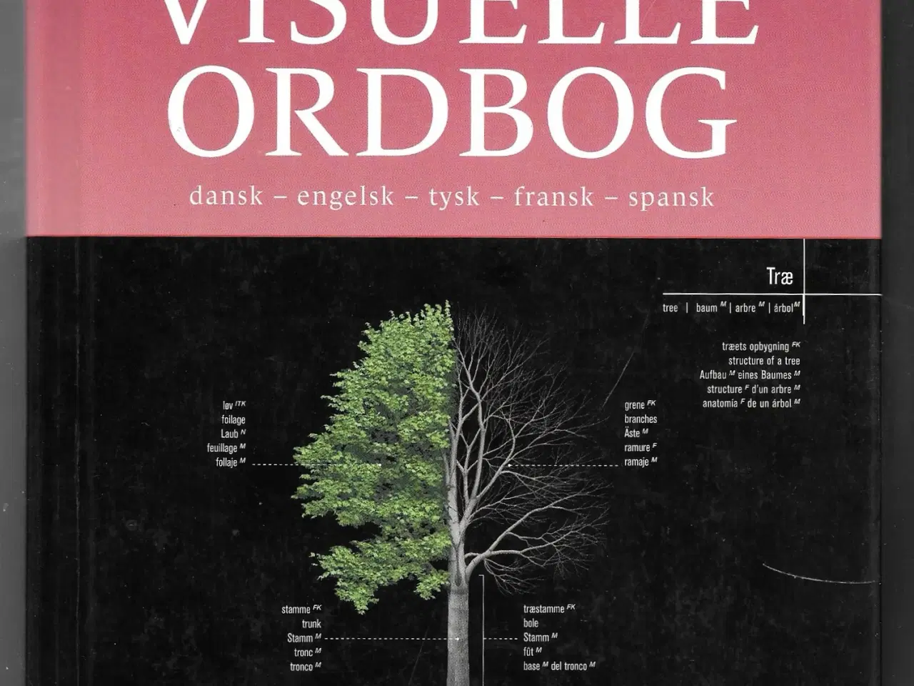 Billede 1 - Politikkens visuelle ordbog Dansk-engelsk-tysk-fra