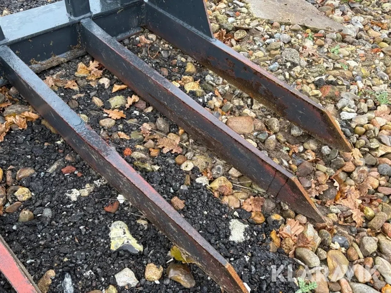 Billede 12 - Græsgrev