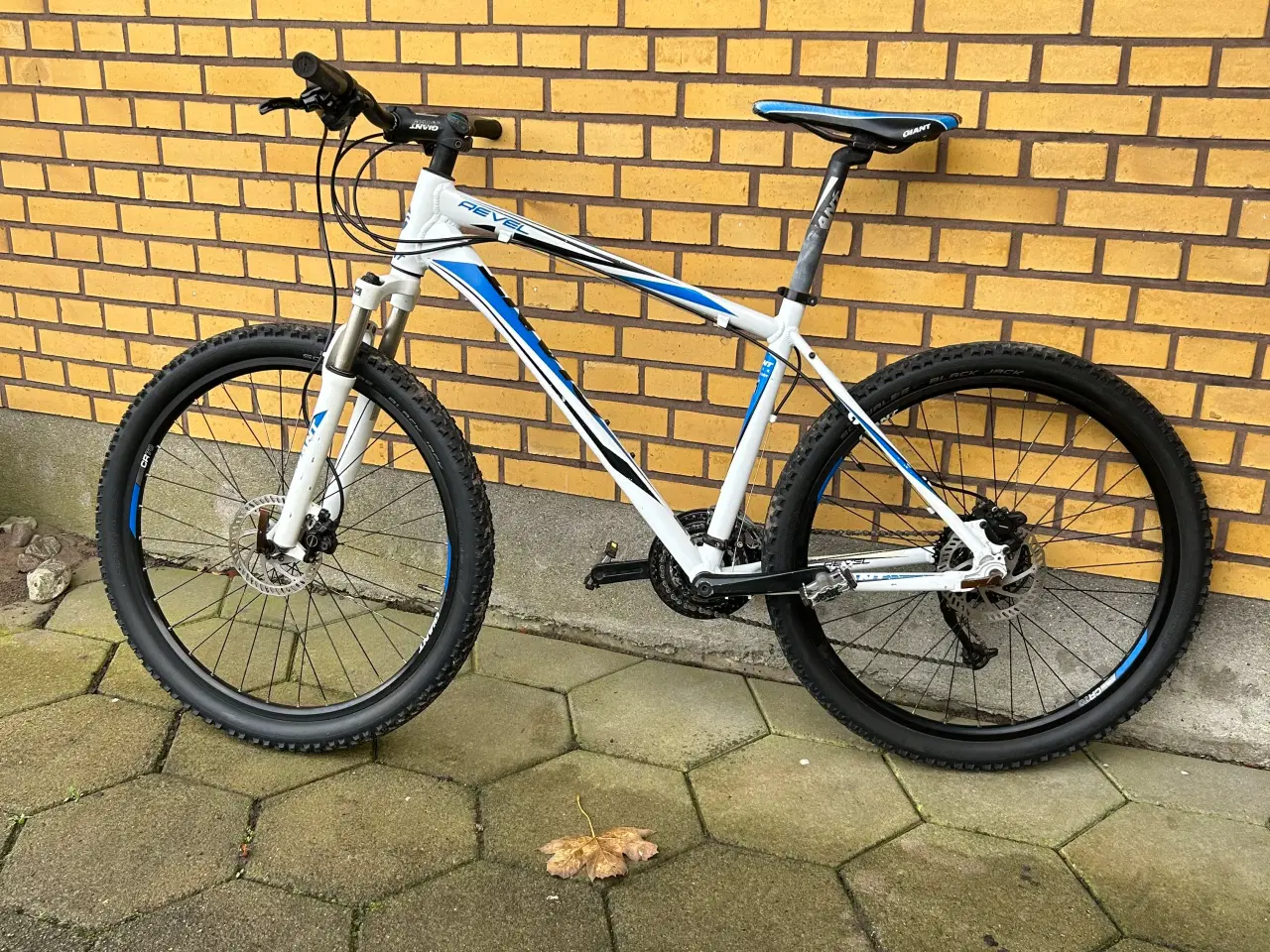 Billede 5 - Giant mountainbike