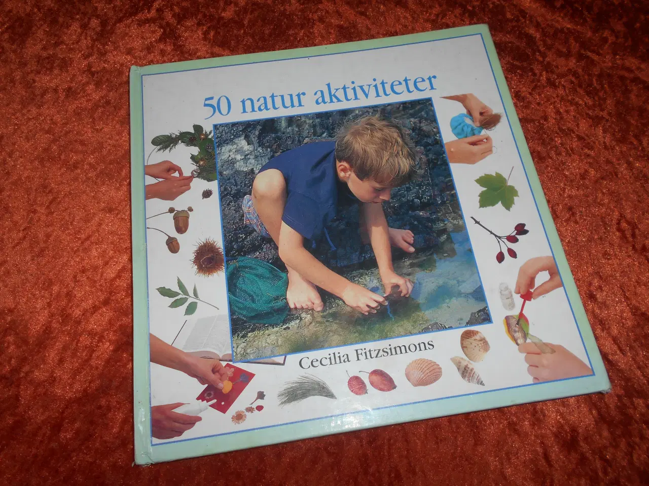 Billede 1 - 50 natur aktiviteter, Cecilia Fitzsimons,