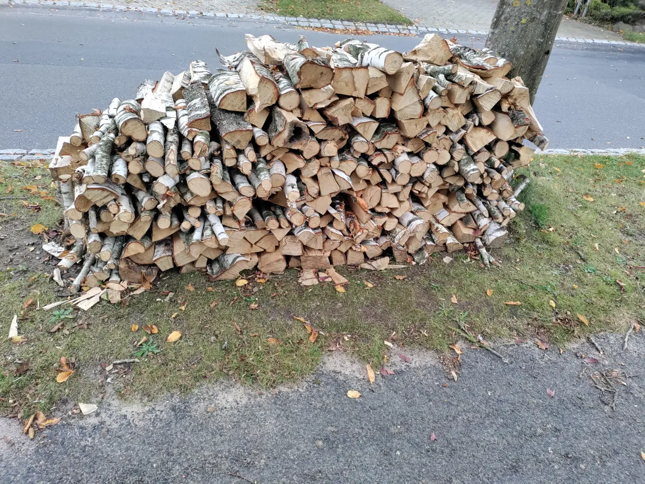 Billede 1 - Birkebrænde 