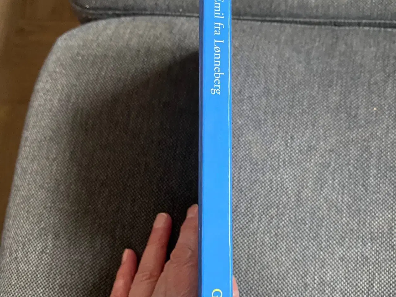 Billede 3 - Emil fra Lønneberg 