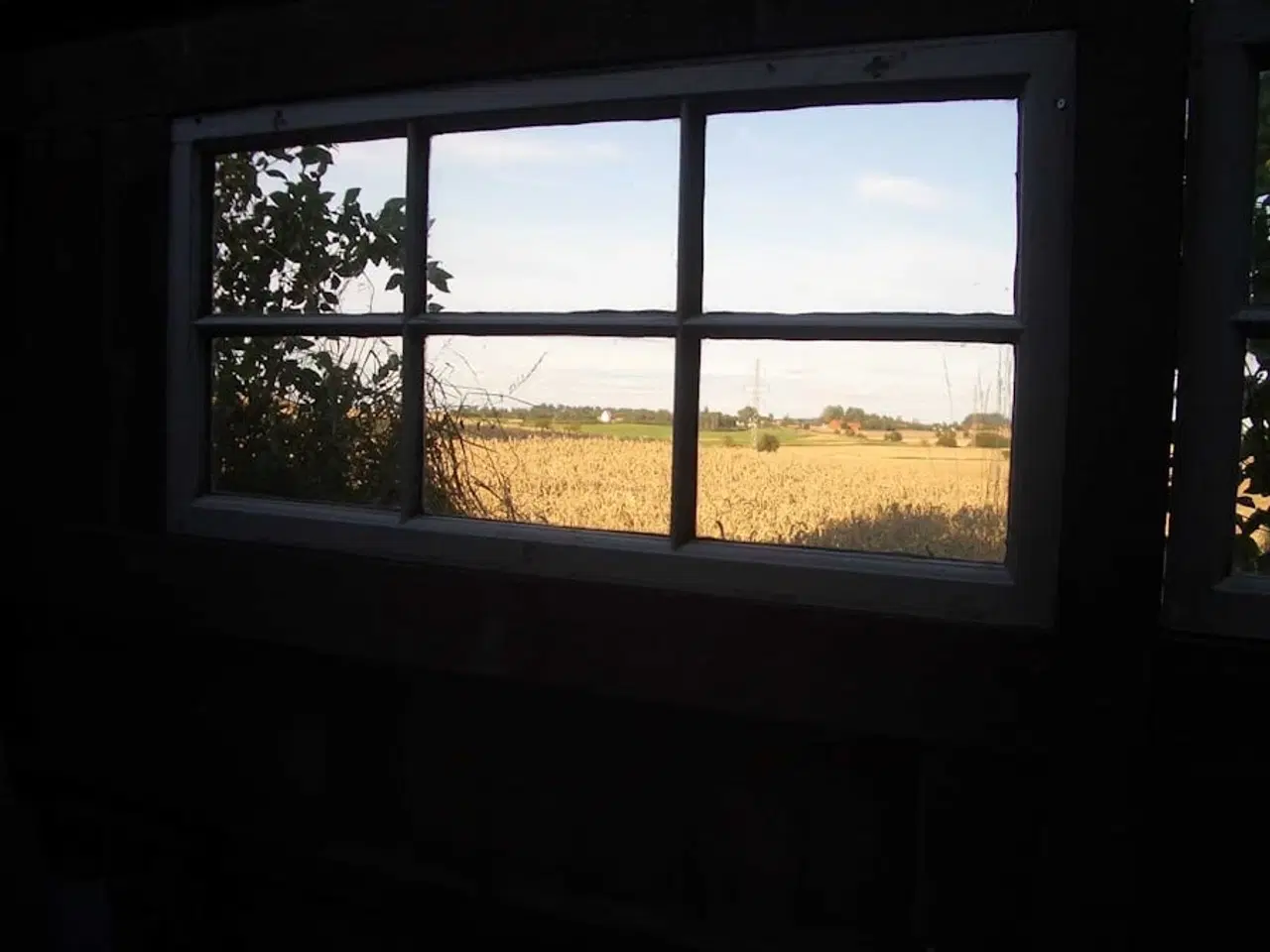 Billede 7 - Kolonihave Holbæk 