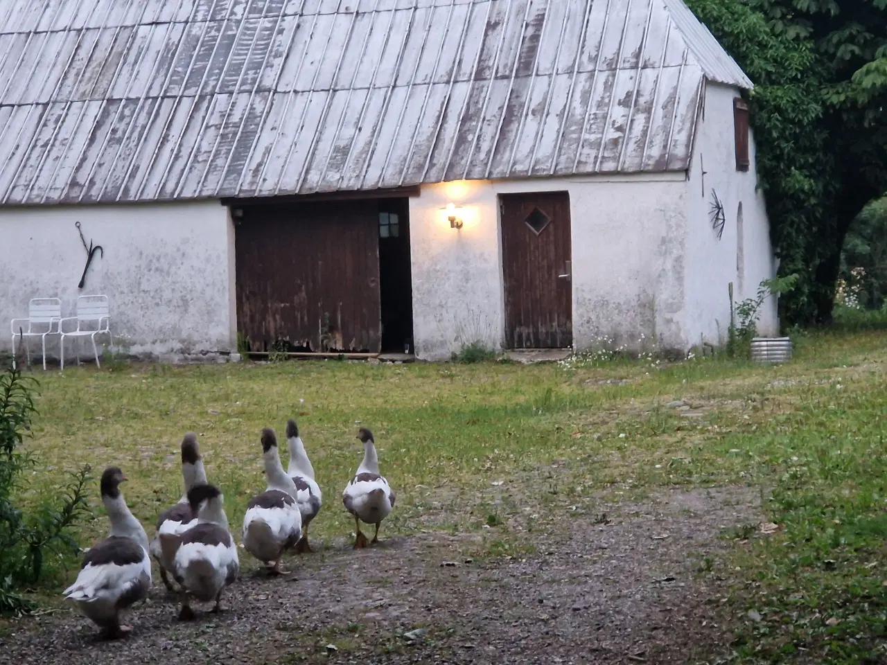 Billede 3 - Dansk Landgase