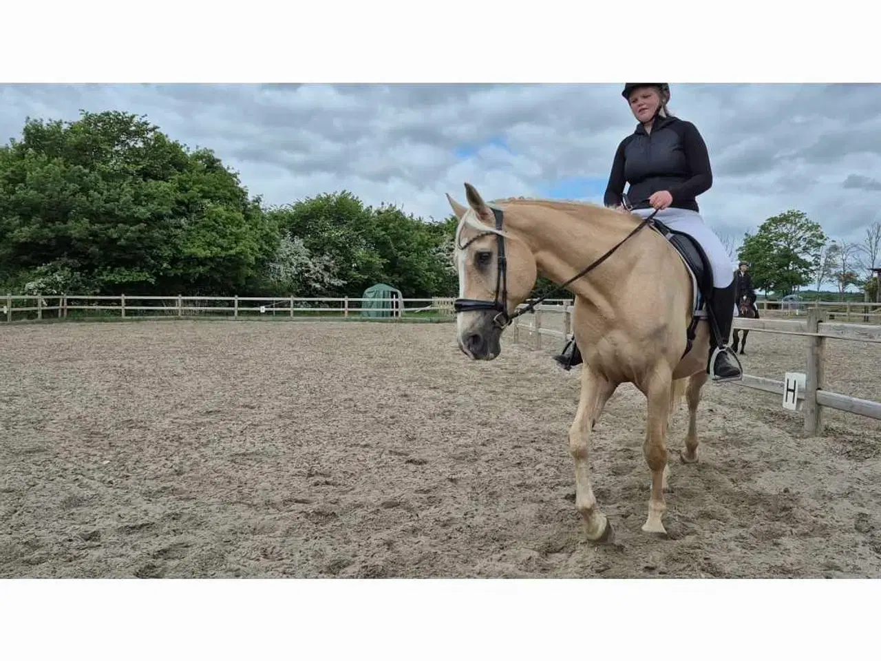 Billede 5 - Barbiehest og bedste kammerat sælges