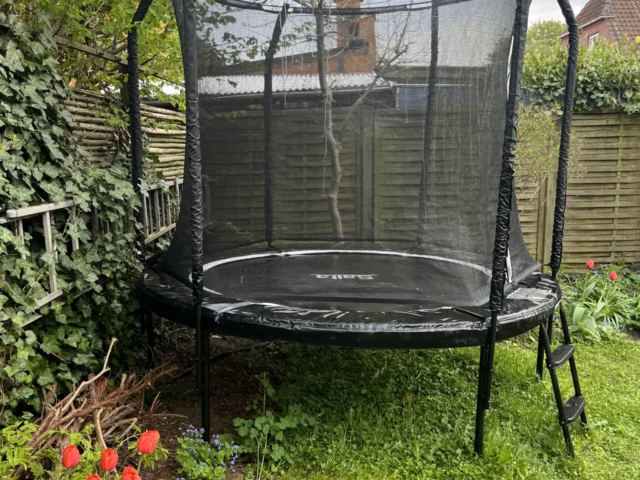 Billede 1 - Salta Premium Black Edition havetrampolin Ø: 251 c