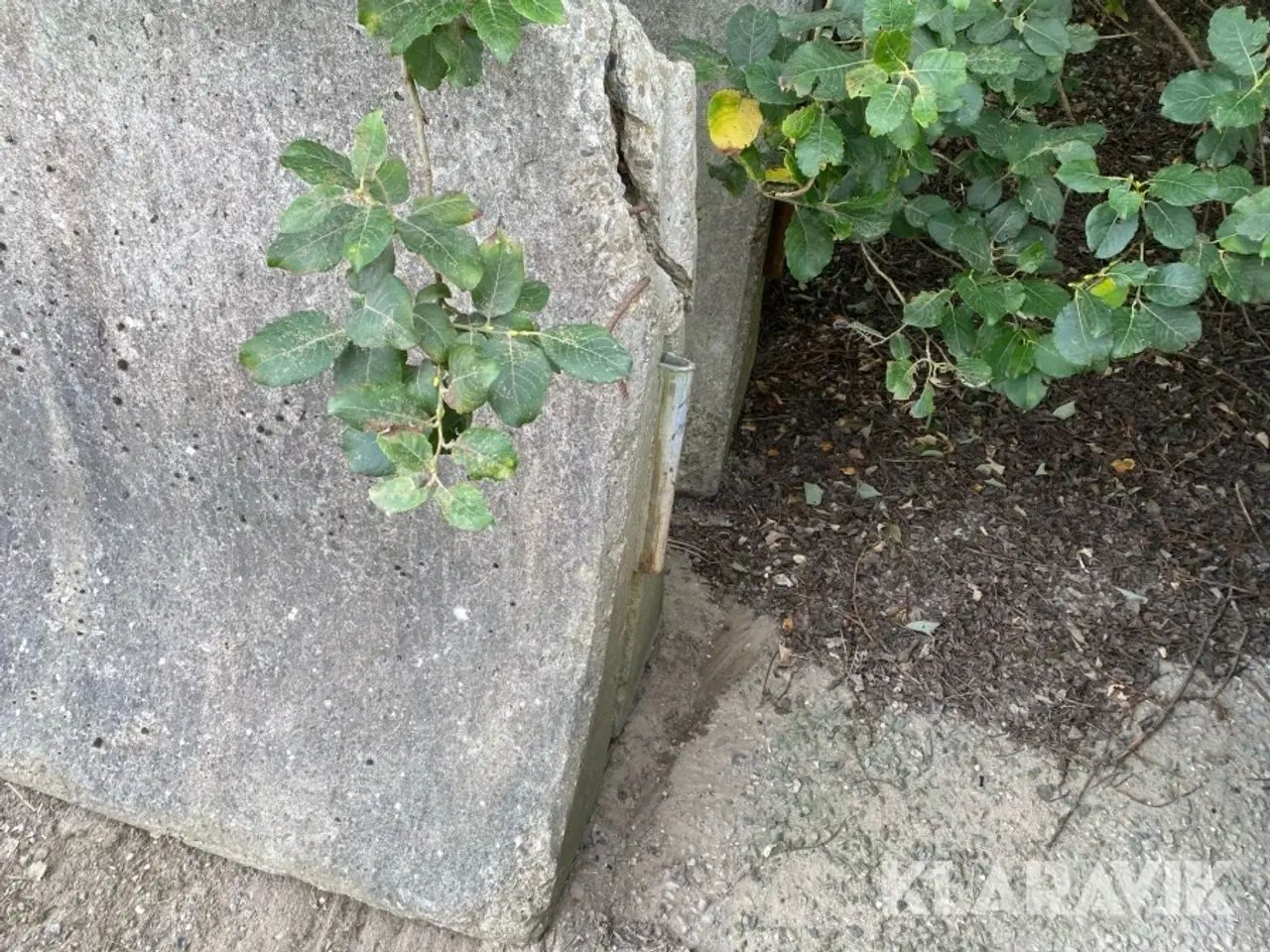 Billede 8 - Beton afspærring 5 styk