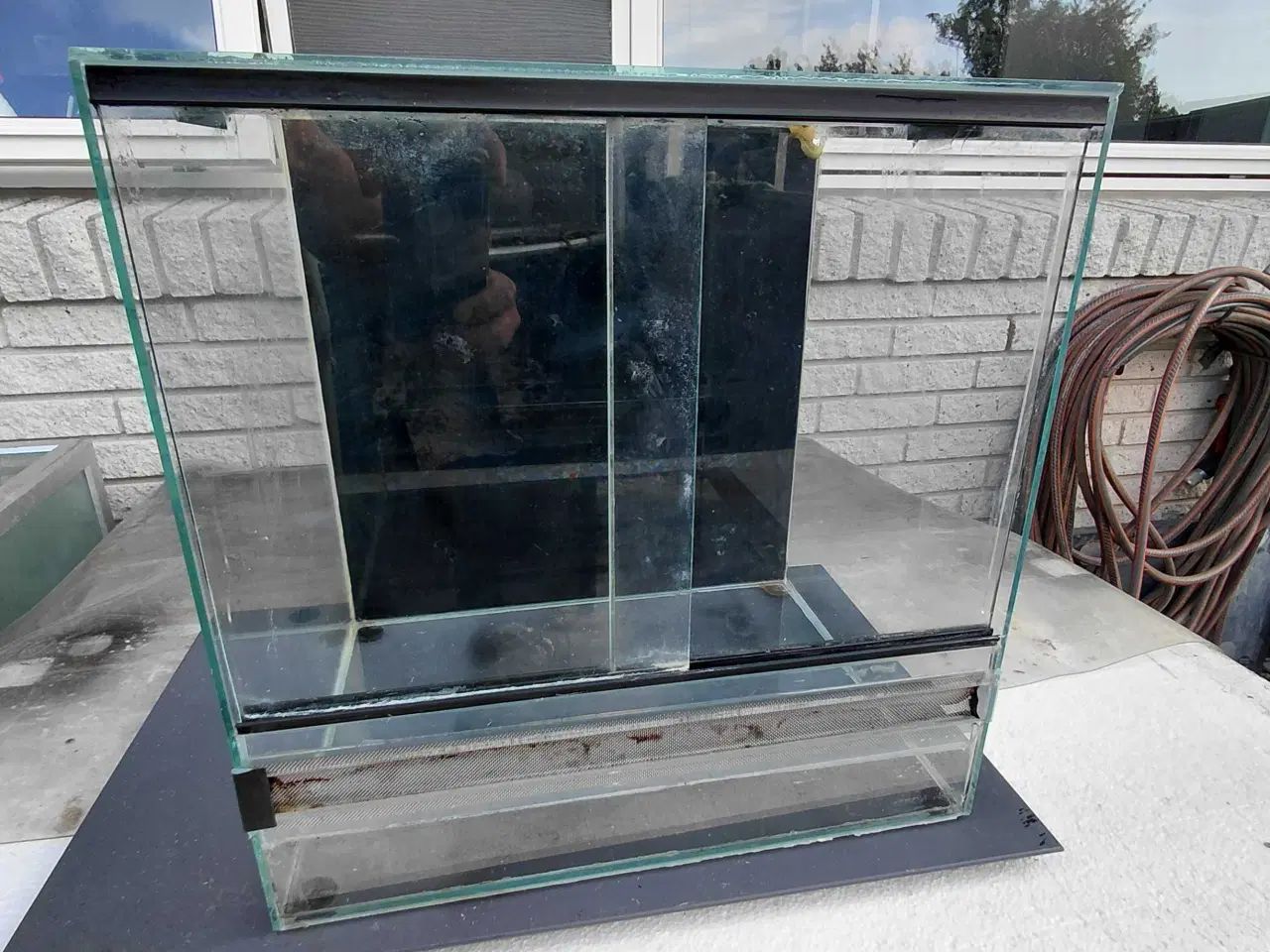 Billede 6 - Terrarium