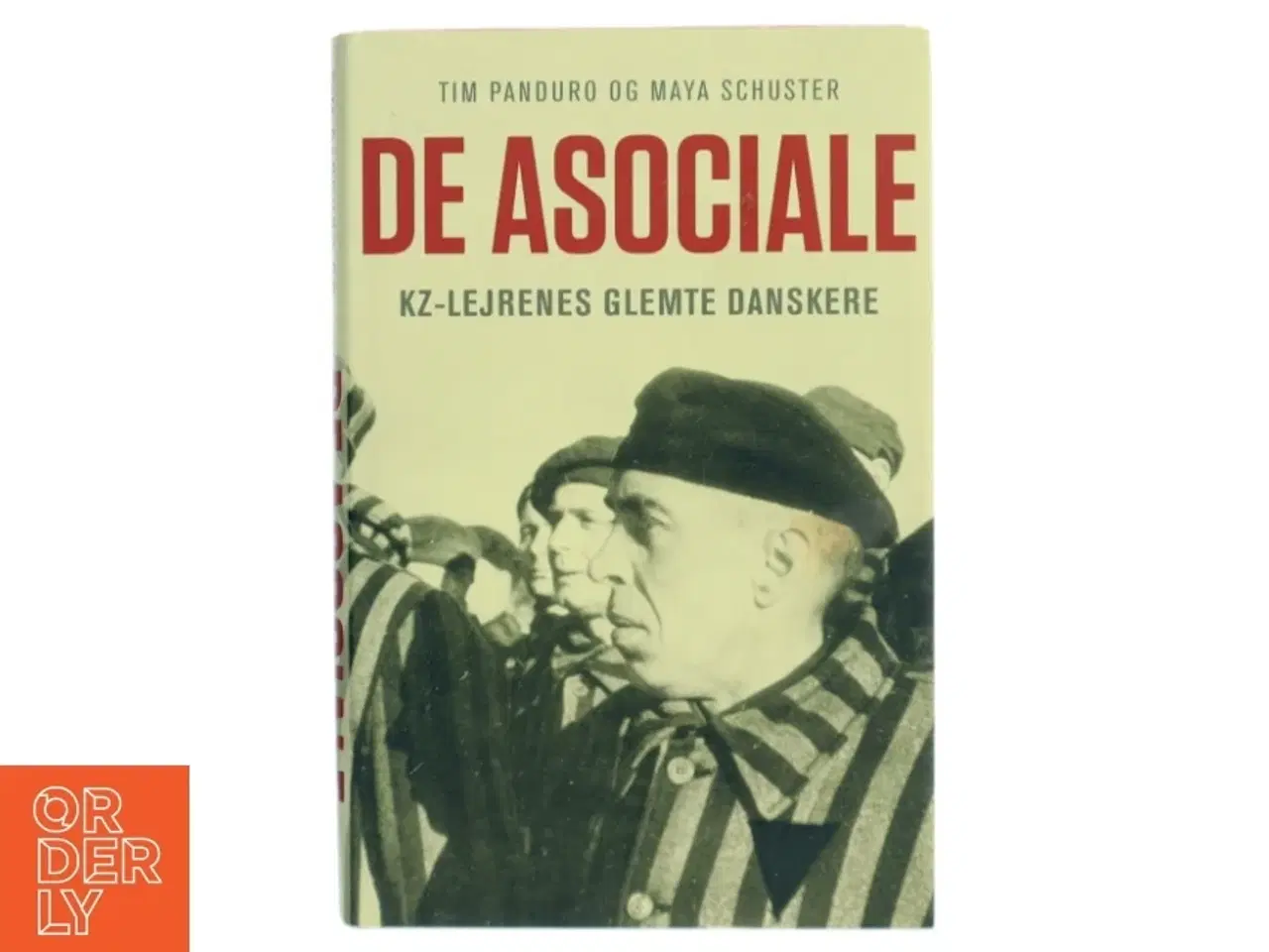 Billede 1 - De asociale : kz-lejrenes glemte danskere af Tim Panduro (Bog)