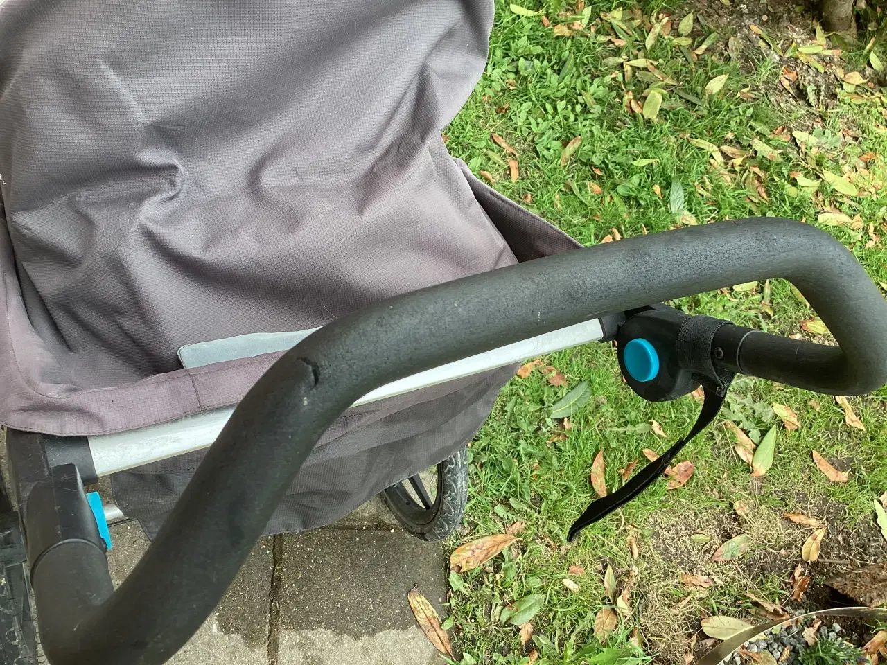 Billede 2 - Løbevogn Thule Urban Glide