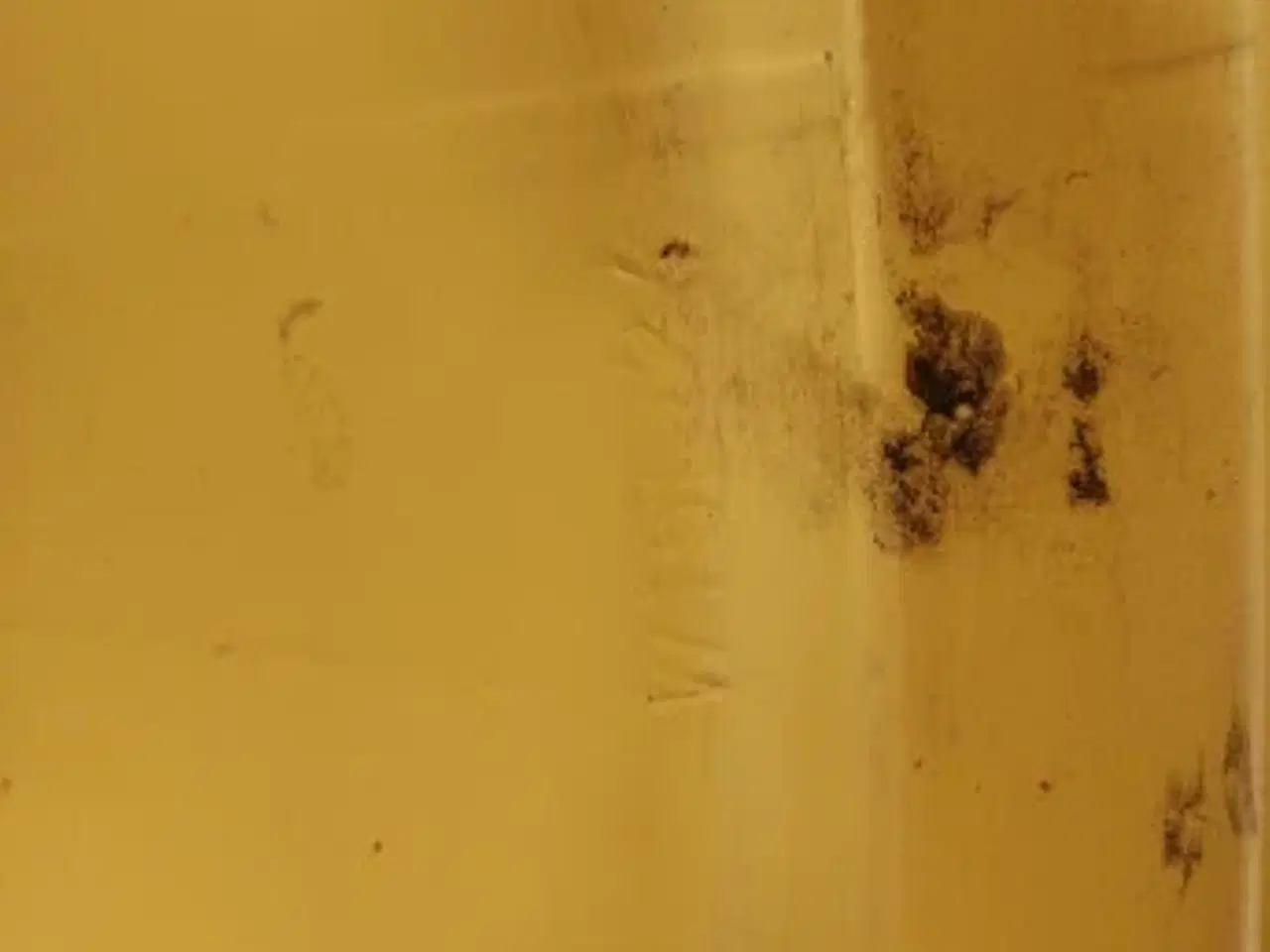 Billede 9 - 24"   16.9-24