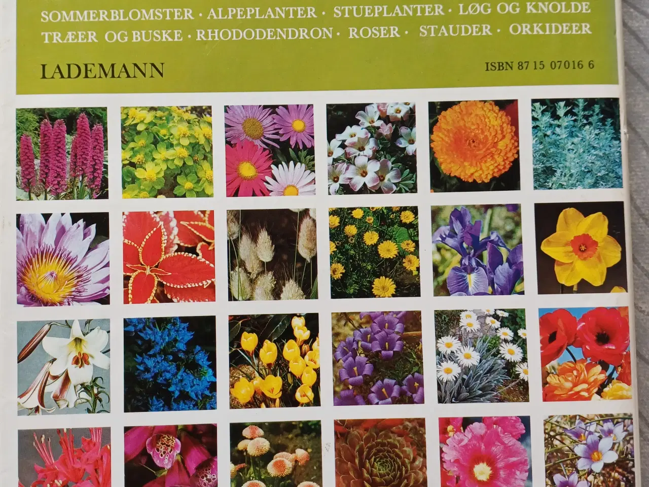 Billede 7 - Lademanns Blomsteratlas af Hay,Roy & Patrick Synge