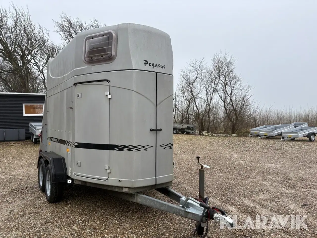Billede 3 - Heste trailer Humbaur Pegasus