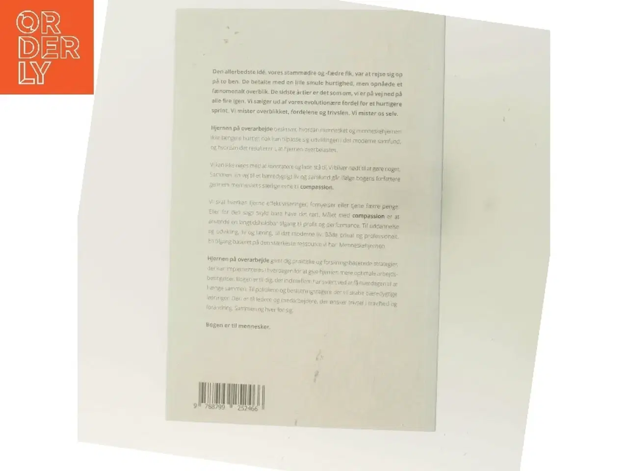 Billede 3 - Hjernen på overarbejde : derfor er compassion vores vej til et bæredygtigt liv og samfund af Henrik Tingleff (Bog)