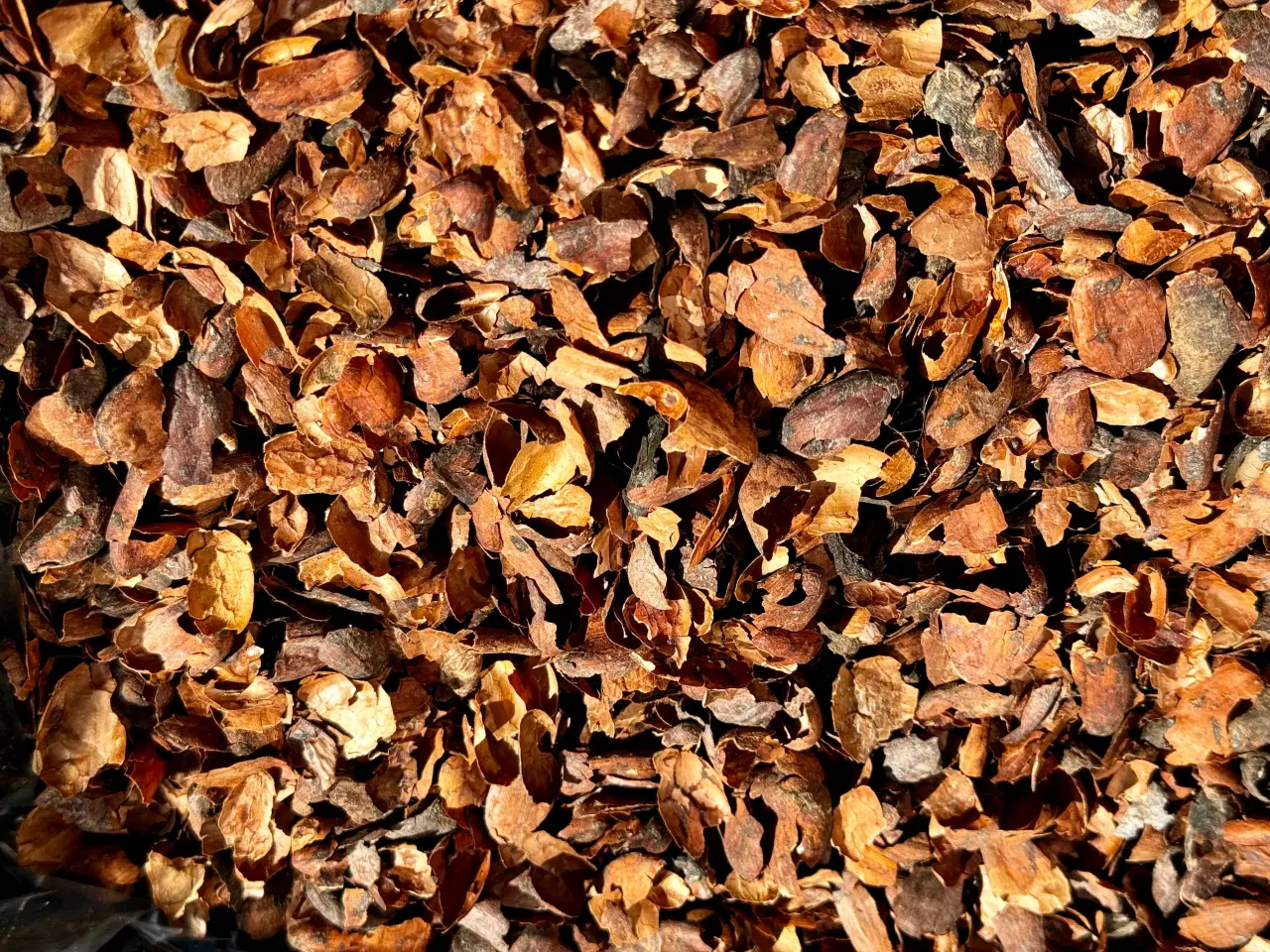 Billede 1 - Træ flis - kakao skaller - gyldenbrun flot farve