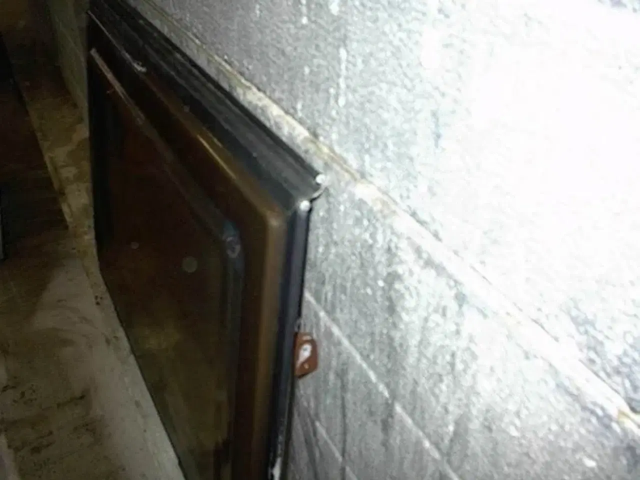 Billede 2 - Rude Opluklig