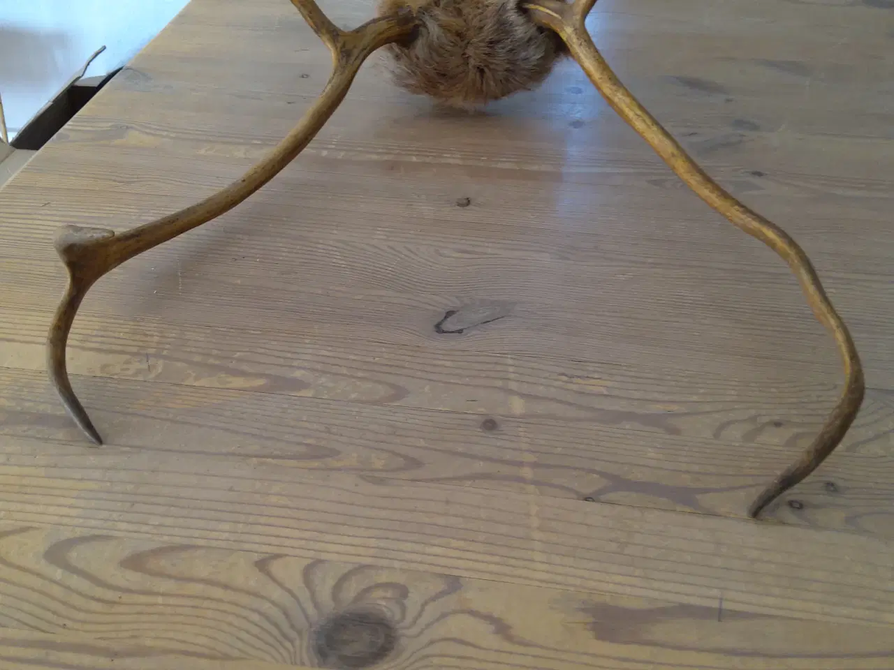 Billede 5 - Gevir til ophæng.