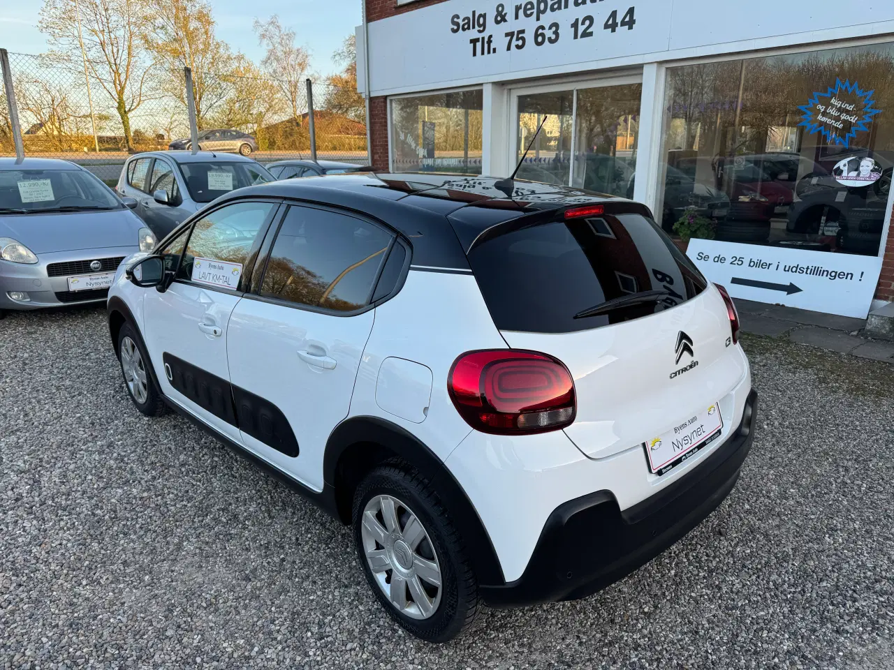Billede 6 - Citroen C3 Triumph Nysyn med Glasstage meget Pæn
