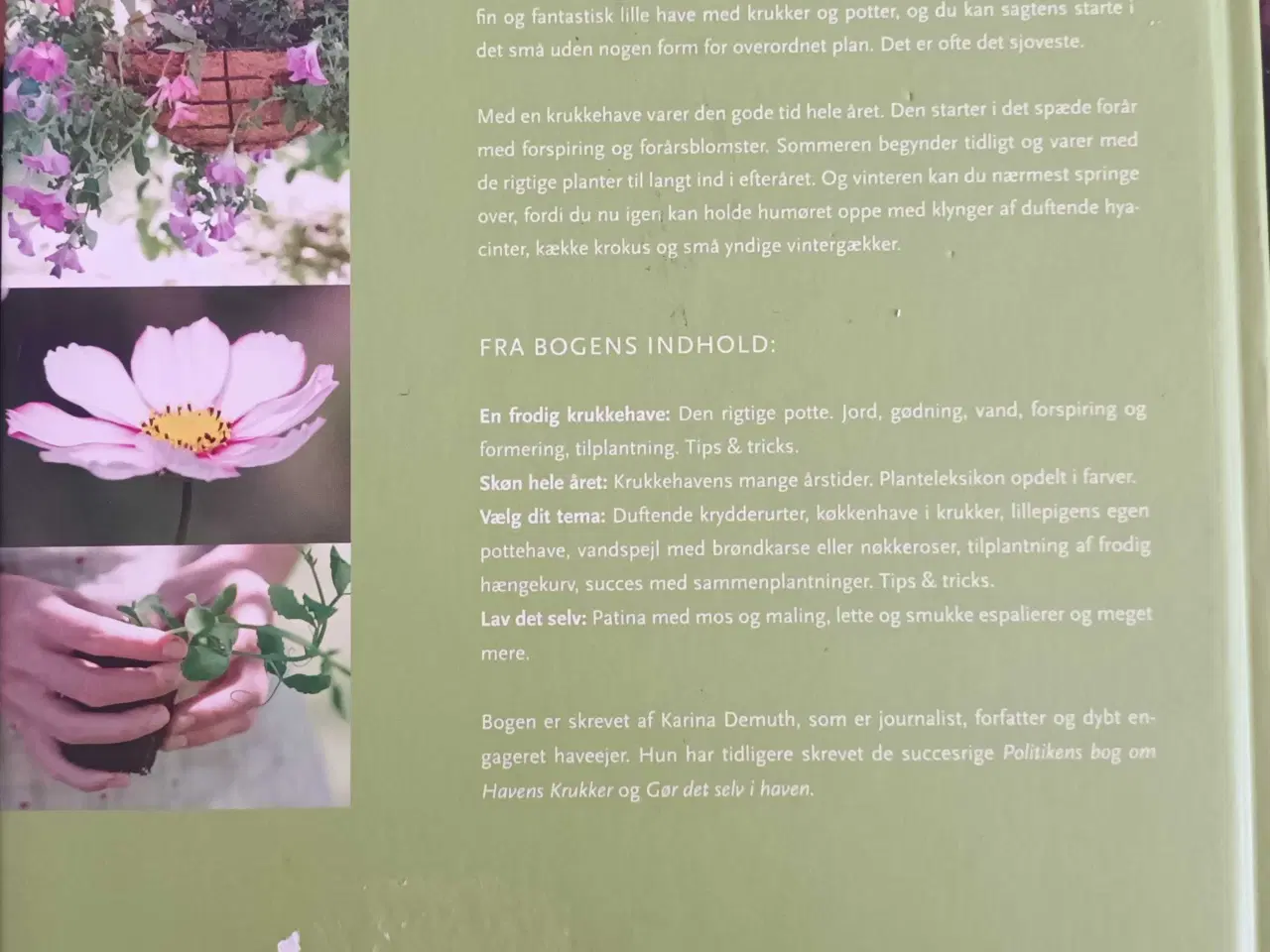 Billede 2 - Krukkehaven  - bog om have og krukker