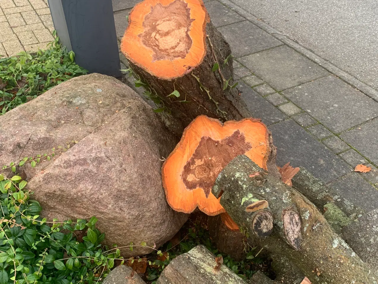 Billede 1 - Træ til drejning