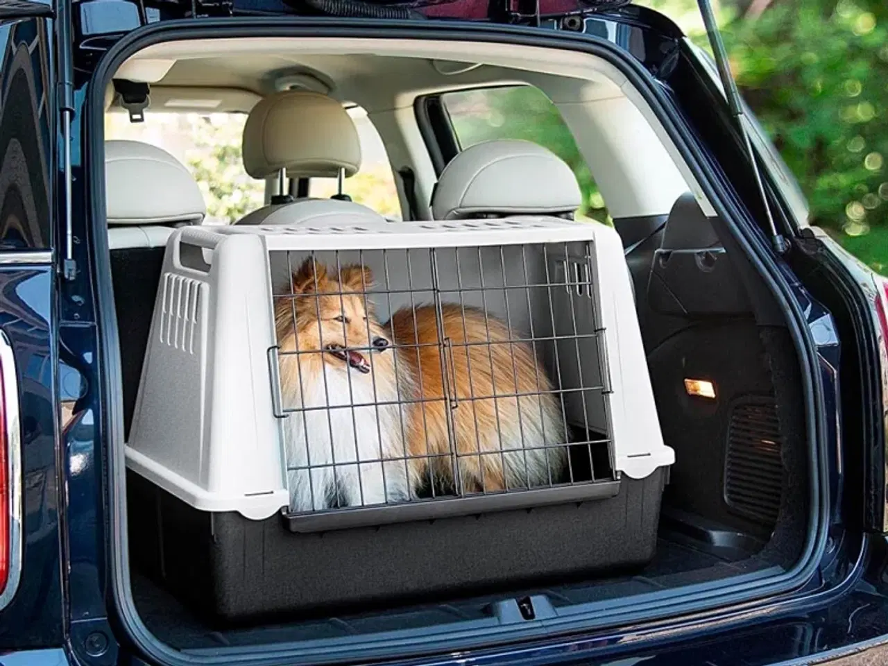 Billede 1 - Transportbur model: Atlas Car 80