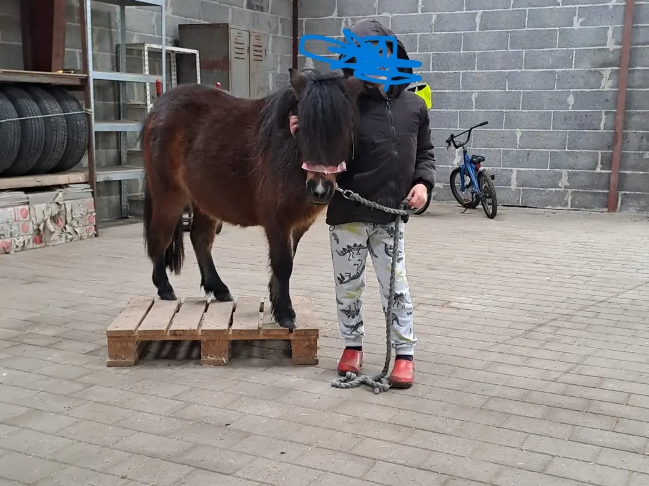 Billede 4 - verdens bedste børne pony