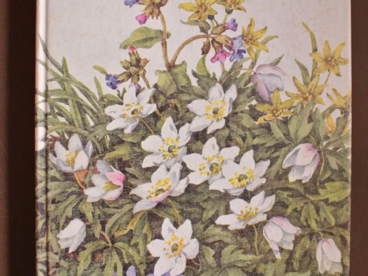 Billede 1 - illustreret flora, af vilhelm baltzer og morten la