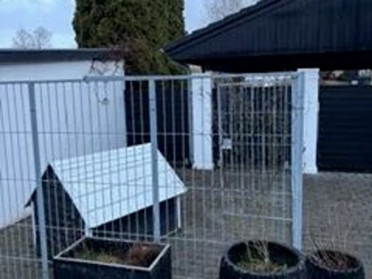 Billede 2 - Hundegård fra Profil Teknik, varmgalvaniseret