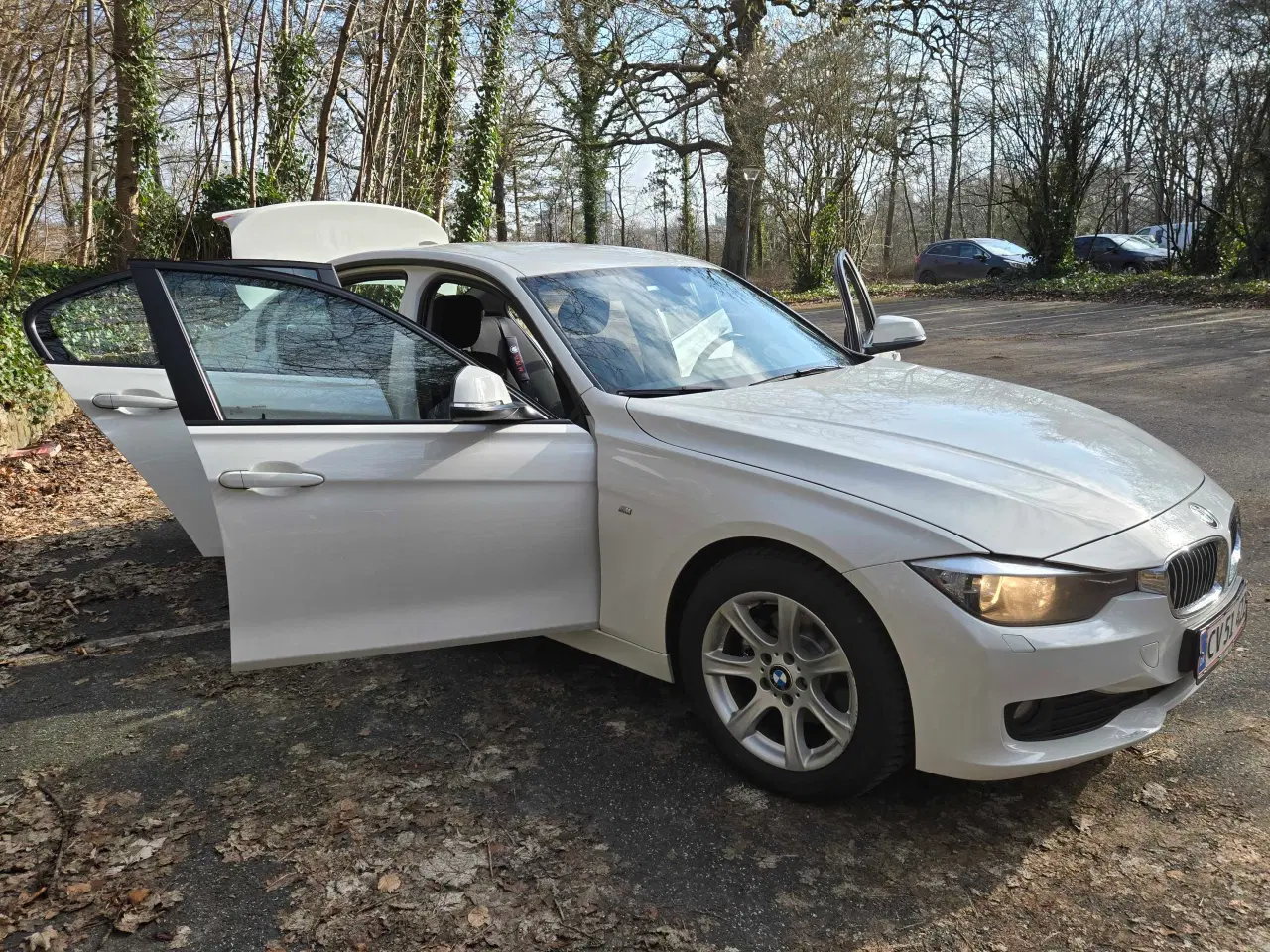 Billede 6 - Bmw 320d f30