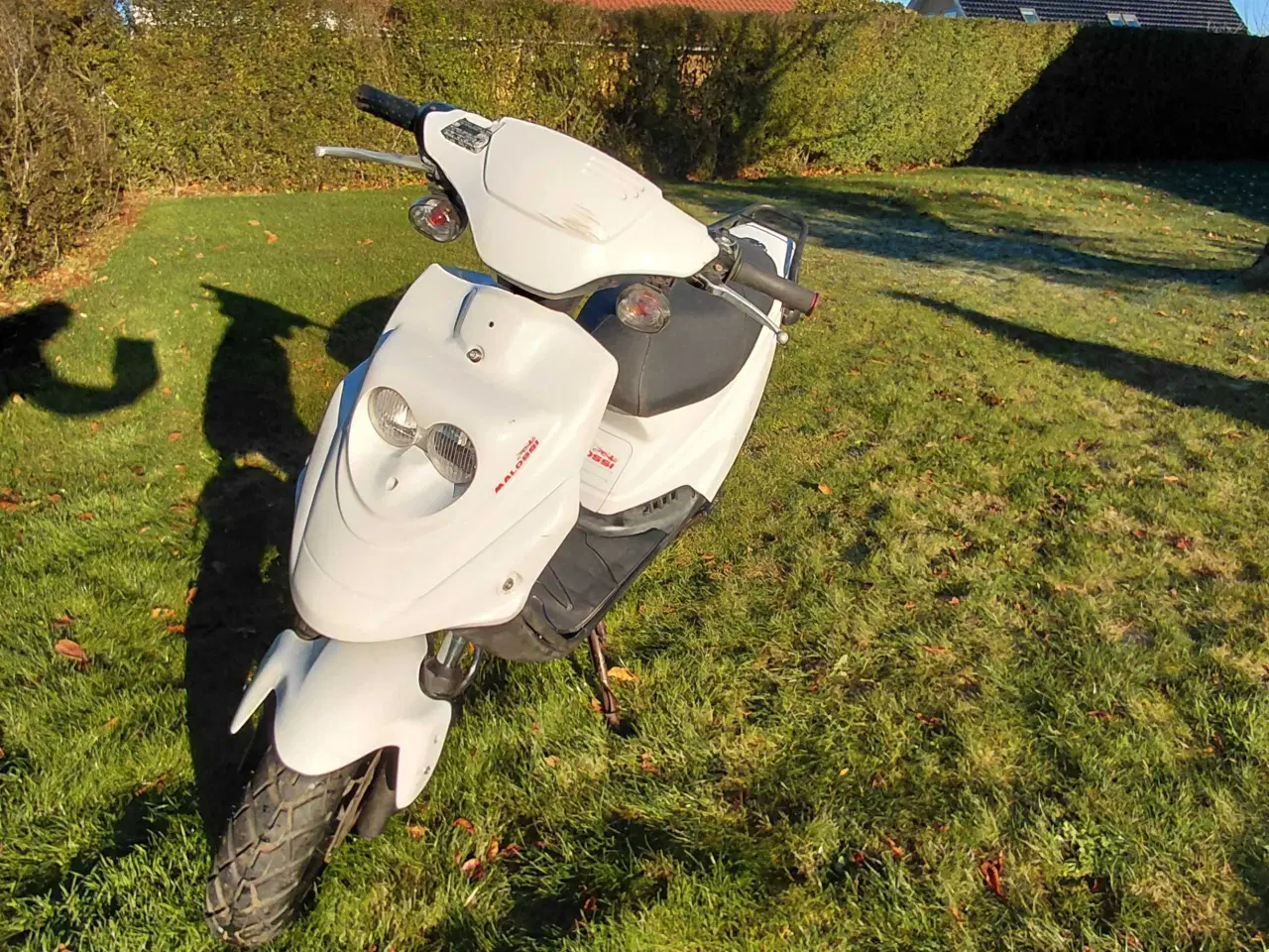 Billede 3 - Flot og stabil PGO hot 50