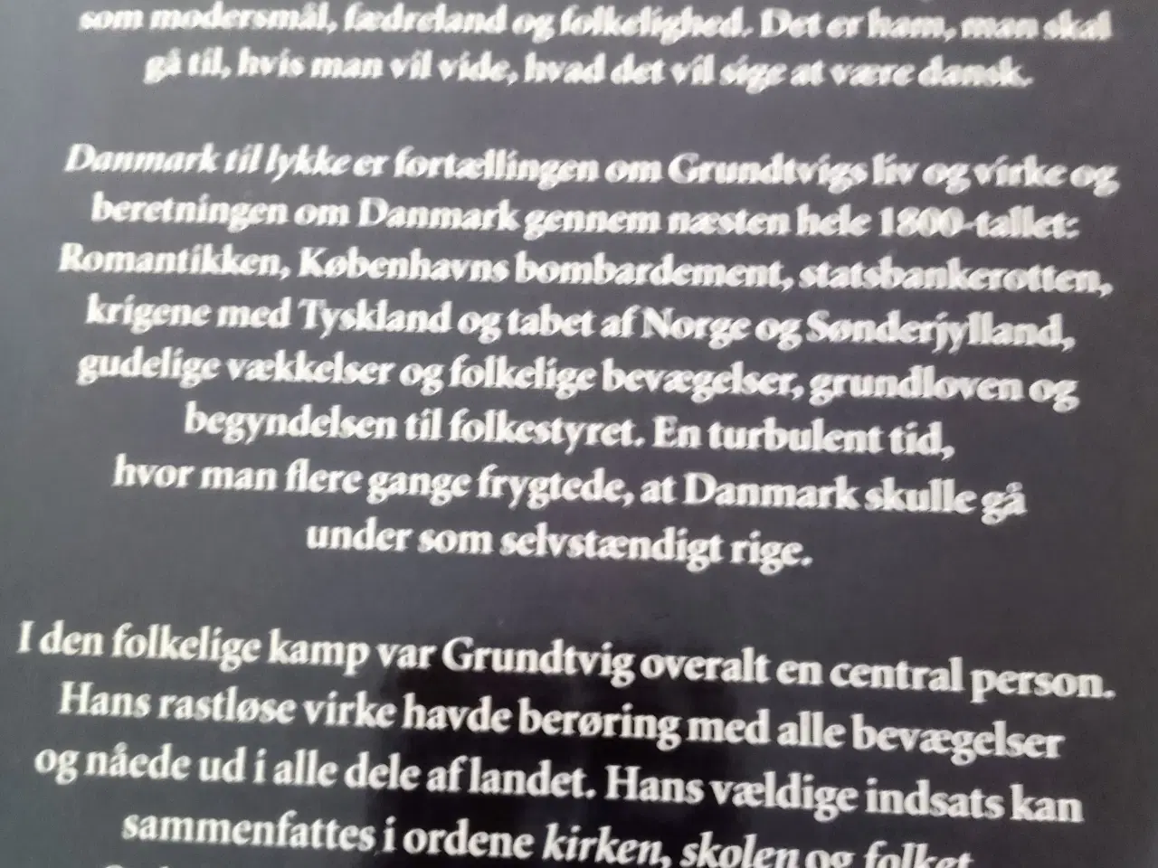 Billede 2 - Finn Abrahamowitz: Grundtvig. Danmark til lykke.
