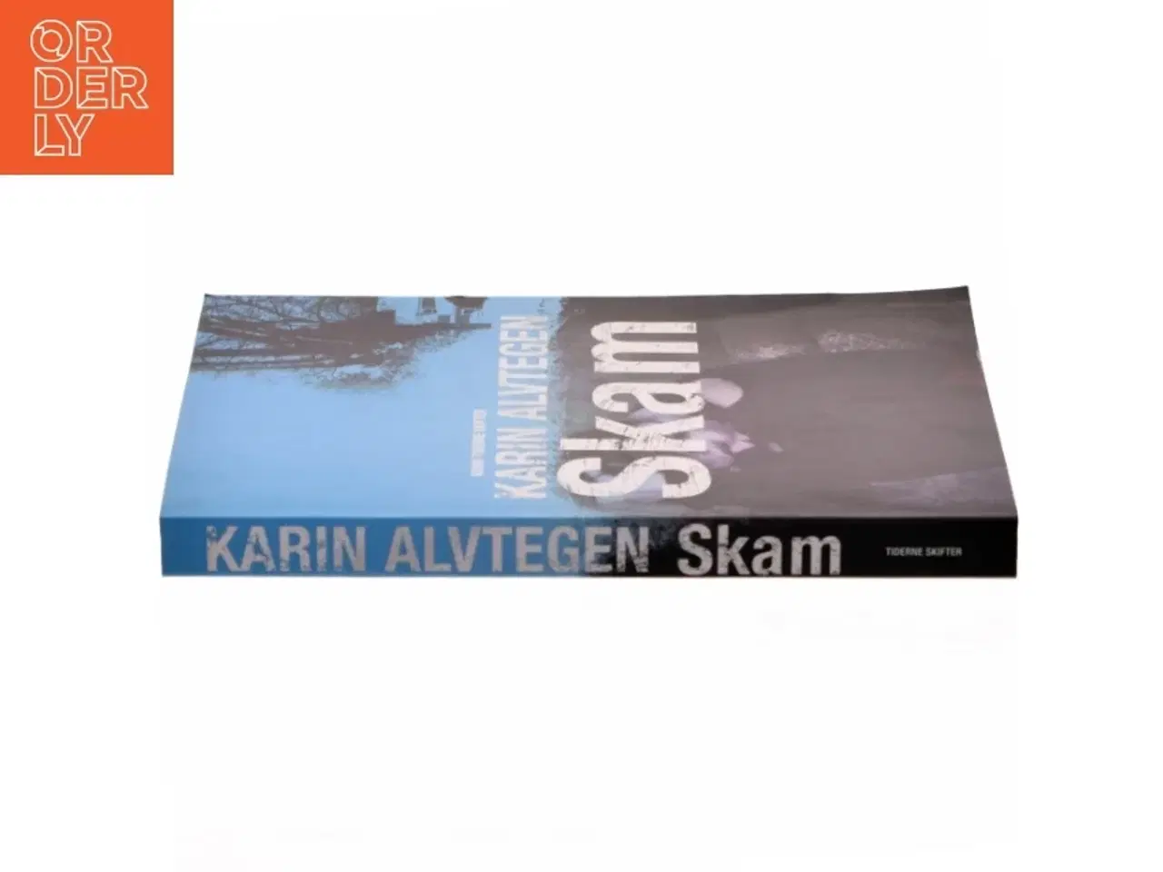 Billede 2 - Skam af Karin Alvtegen