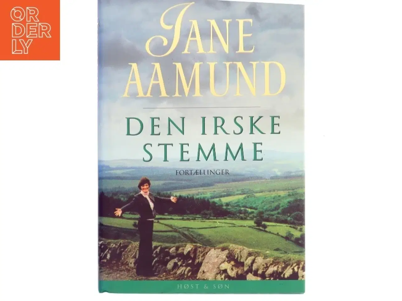 Billede 1 - Den irske stemme : fortællinger af Jane Aamund (Bog)