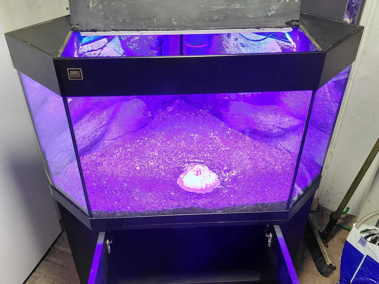 Billede 7 - Hjørneakvarie 100L 