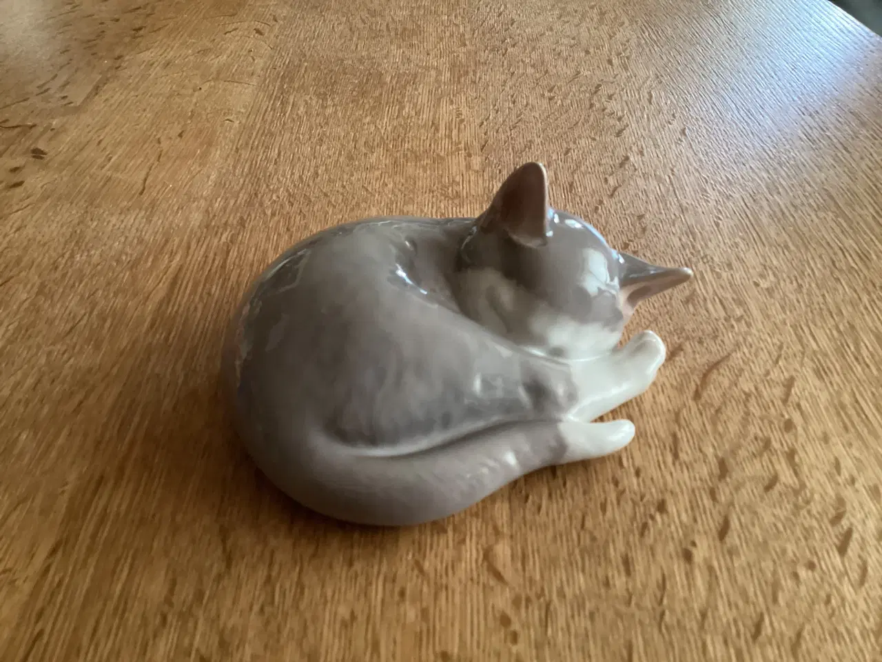 Billede 1 - BG Sovende Kattekilling musegrå hvid maske,halespi