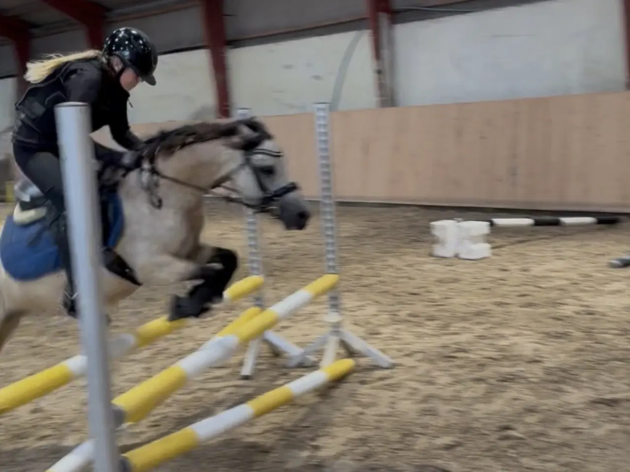 Billede 7 - Sødeste 3 pony