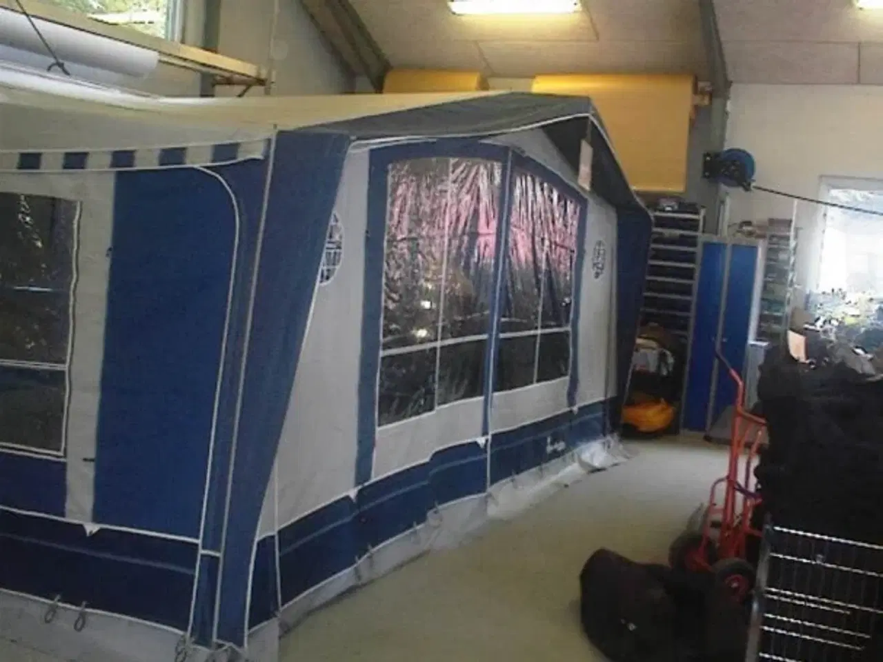 Billede 3 -   Isabella Commodore Alpa