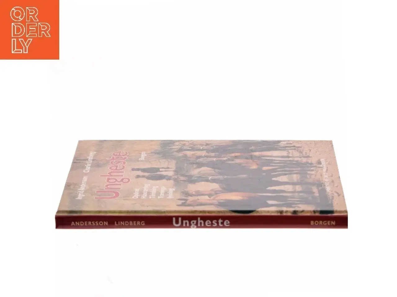 Billede 2 - Ungheste : opdræt, håndtering, tilridning og træningsfysiologi (Bog)