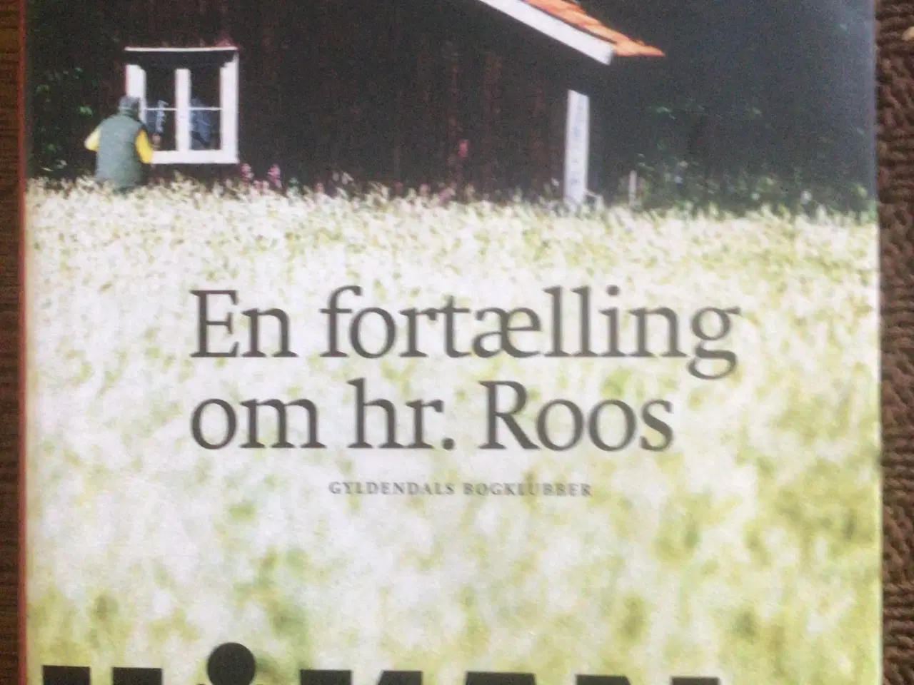 Billede 1 - Håkan Nesser : En fortælling om Hr. Roos