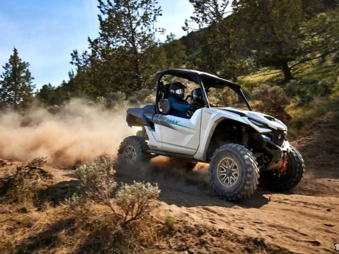 Billede 1 - Yamaha Wolverine RMAX2 1000 LE