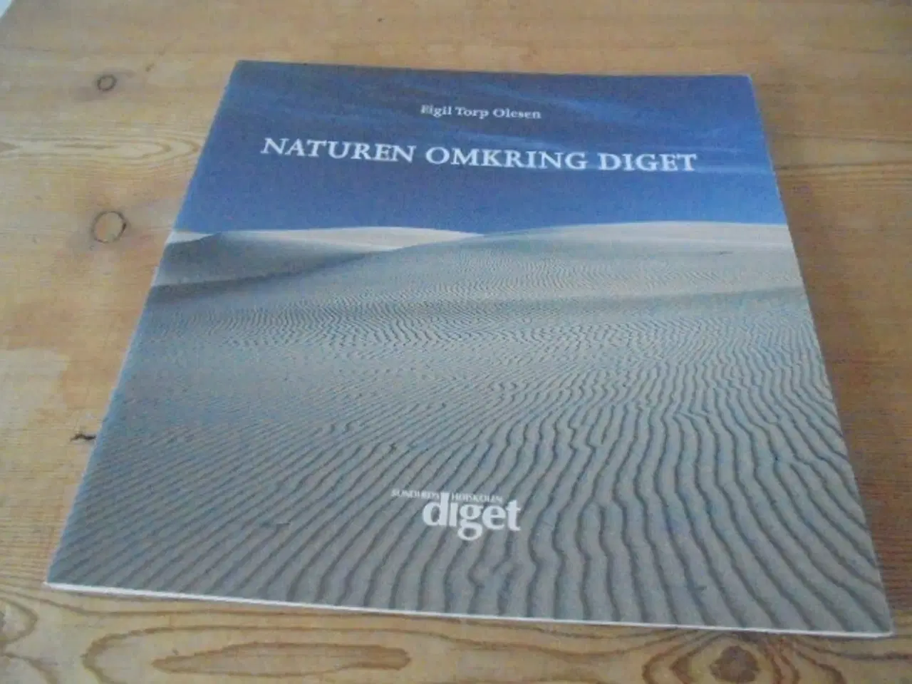 Billede 1 - Naturen omkring Diget (mellem Aalbæk og Skagen)