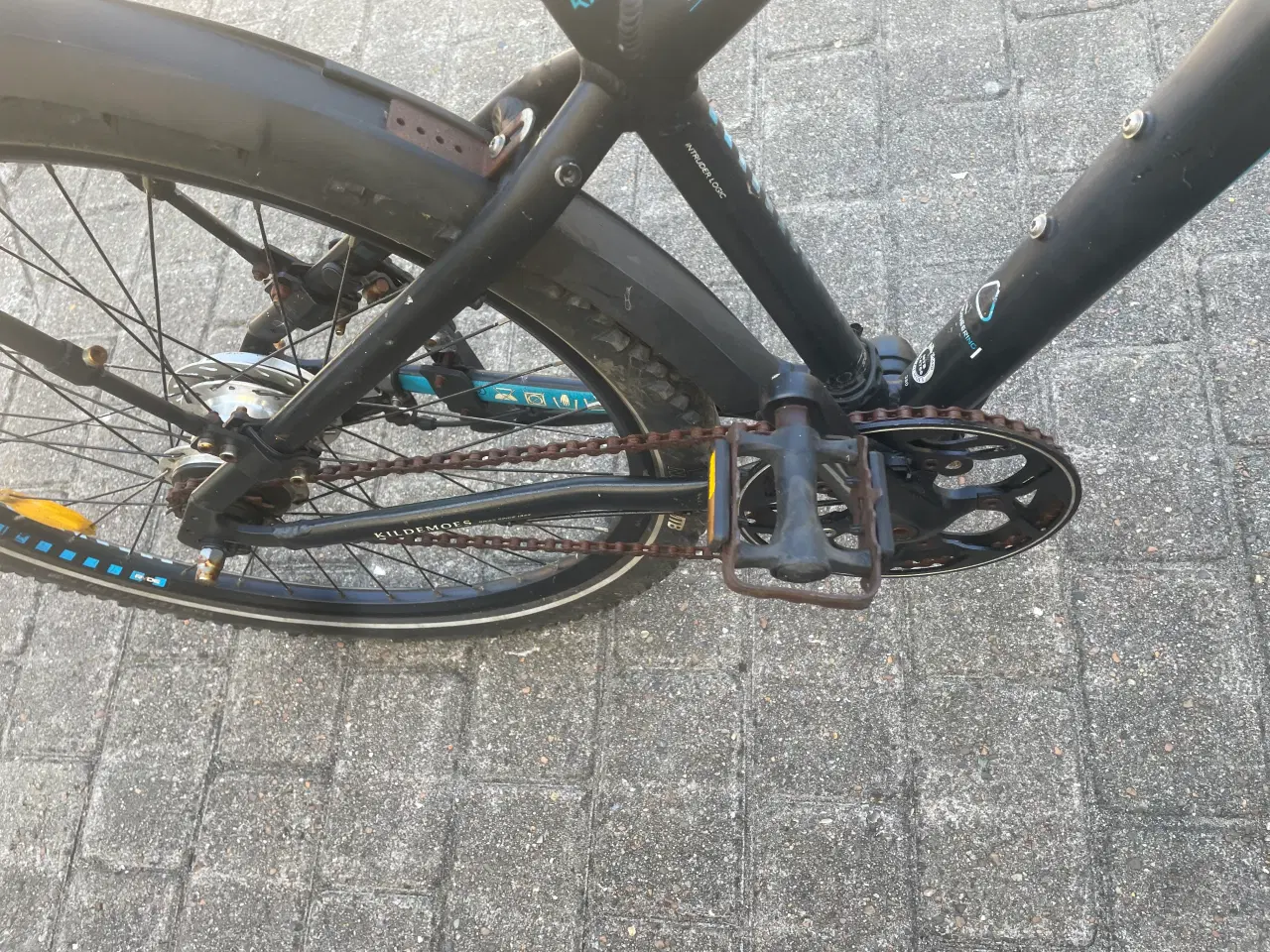 Billede 3 - Cykler kildmoes