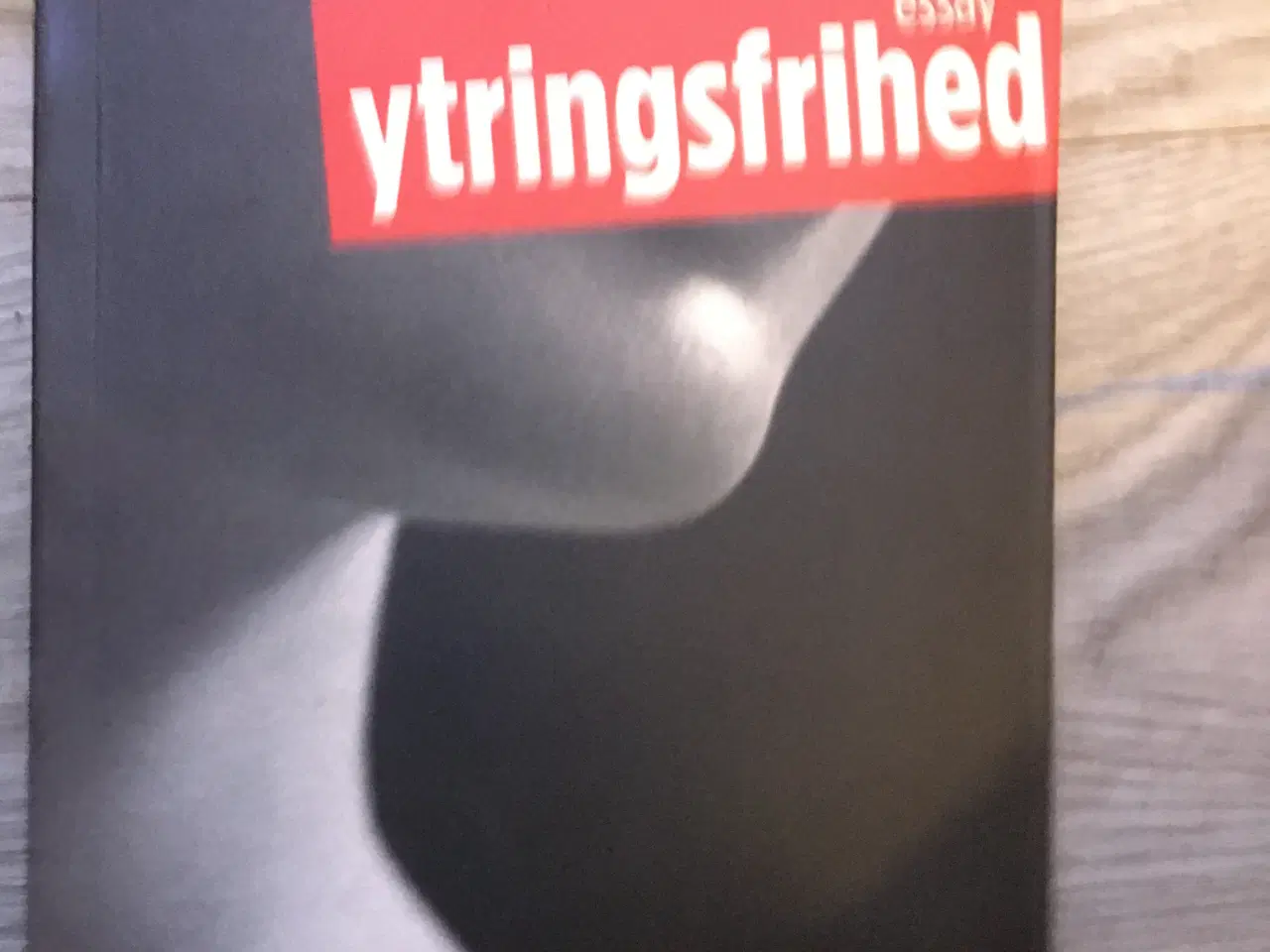 Billede 1 - Ytringsfrihed 