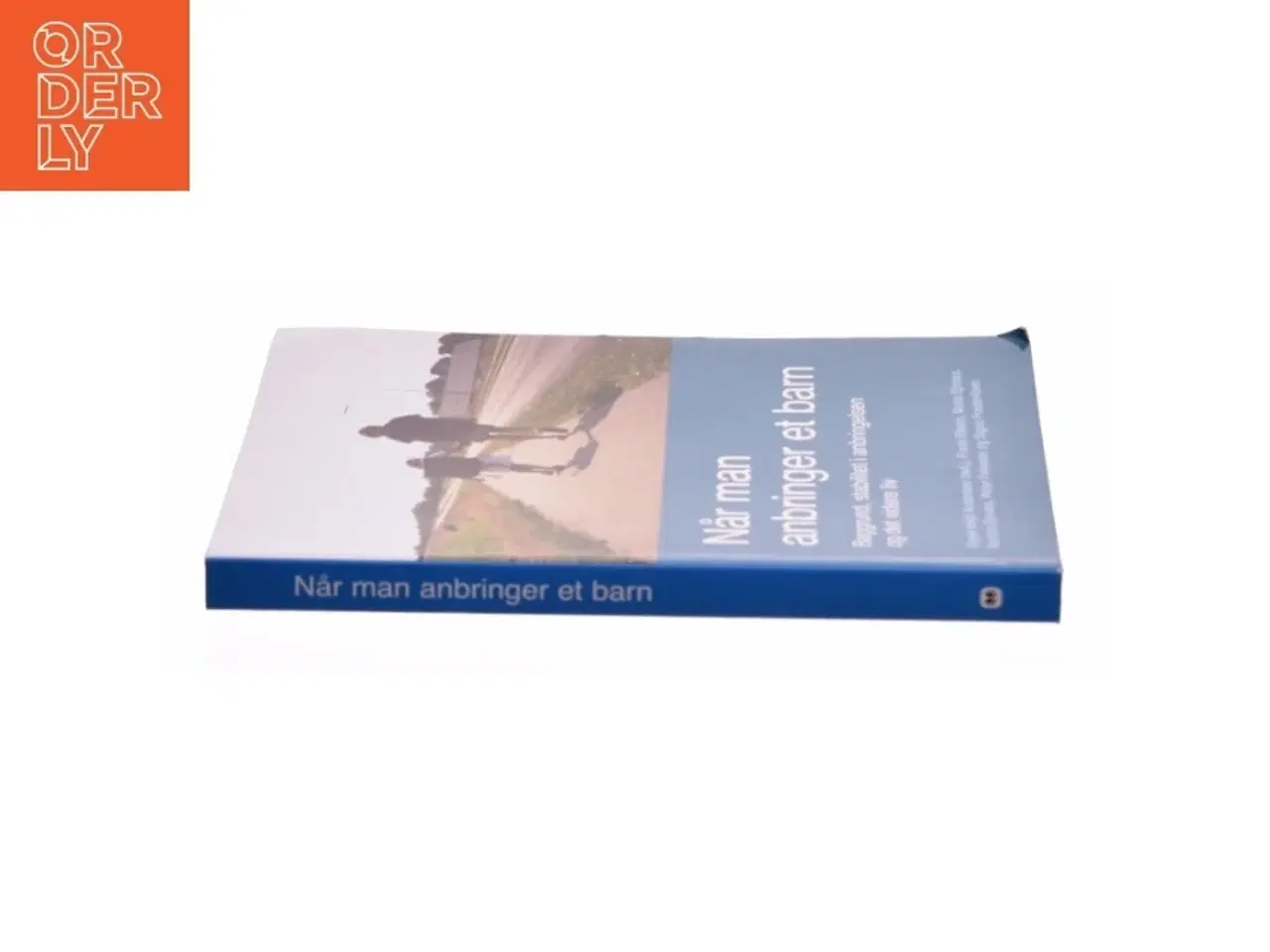 Billede 3 - Når man anbringer et barn : baggrund, stabilitet i anbringelsen og det videre liv (Bog)
