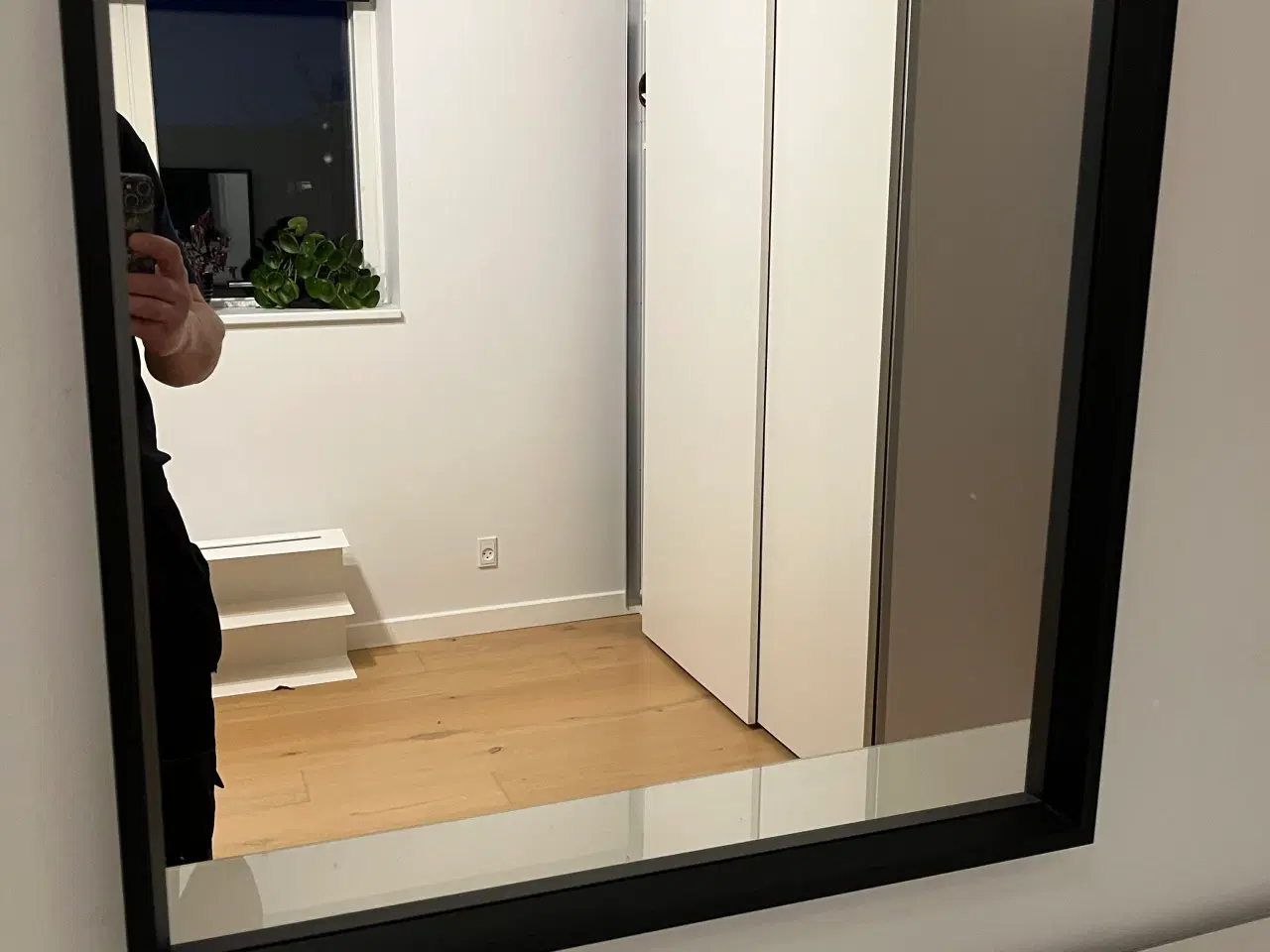 Billede 2 - Spejl Nissedal 