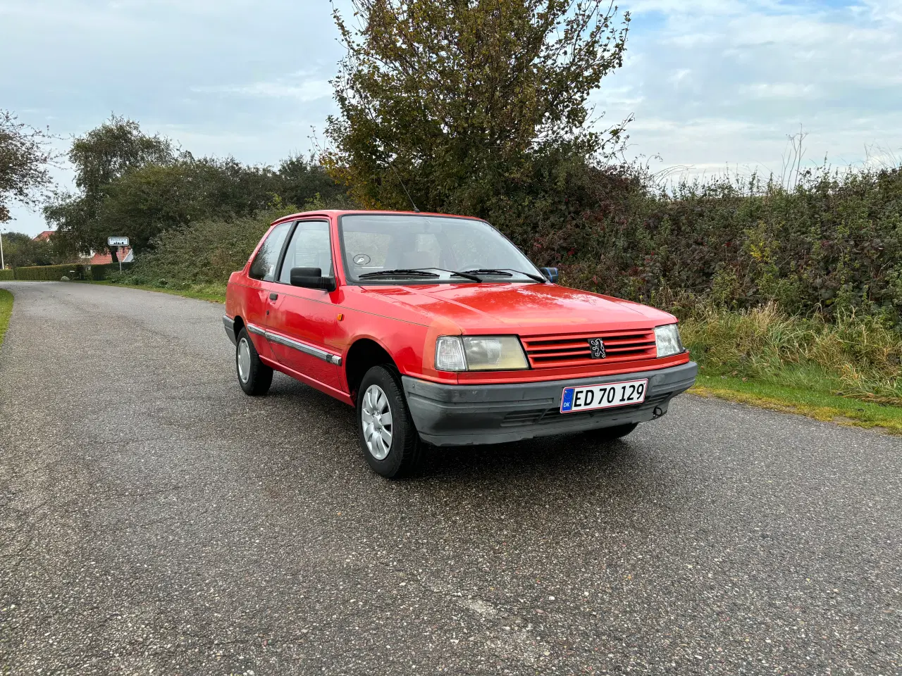 Billede 1 - Peugeot 309 veteran