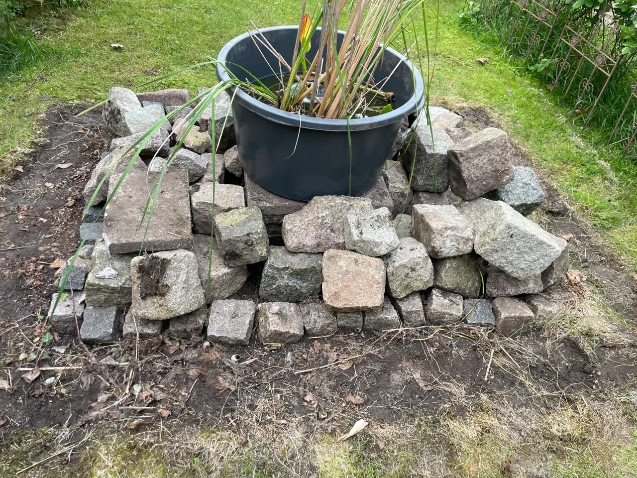 Billede 2 - Granit brosten og chaussesten ca 90 stk