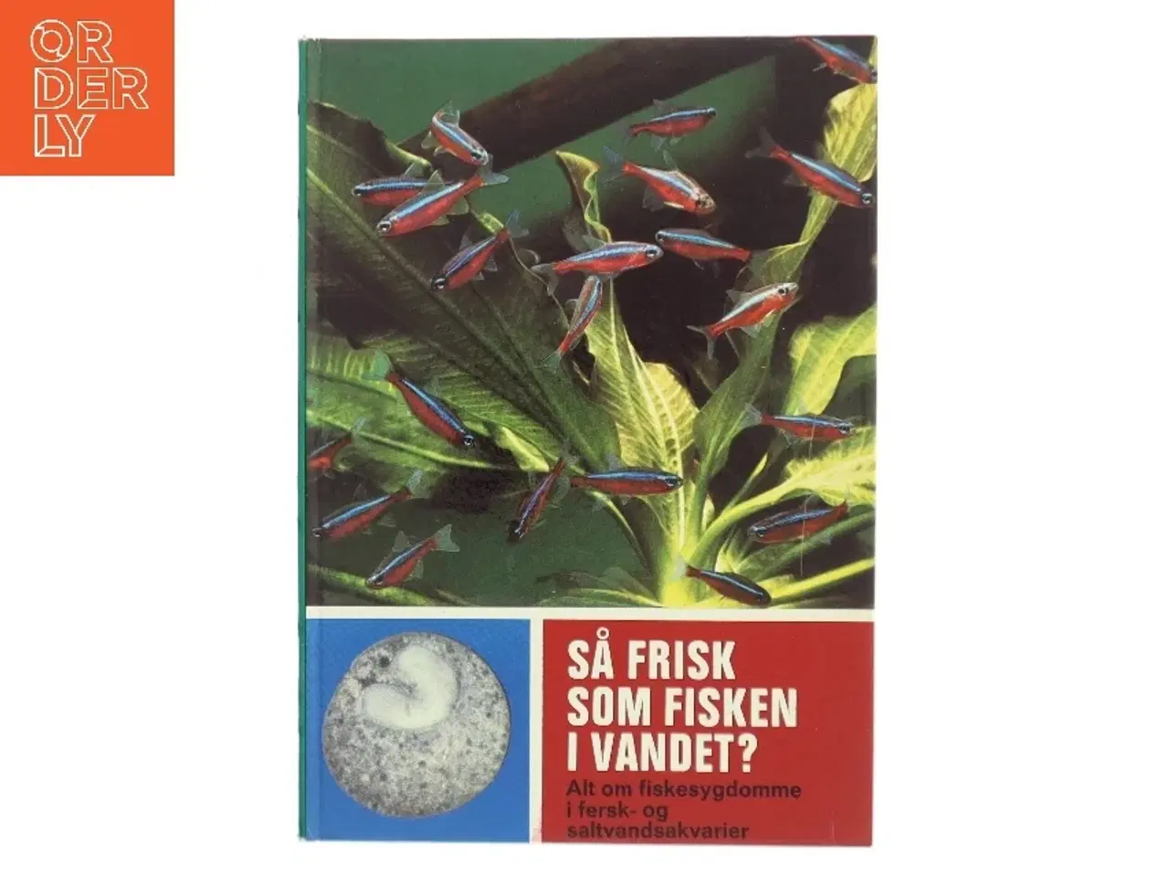 Billede 1 - Så frisk som fisken i vandet? af Frickhinger (Bog)
